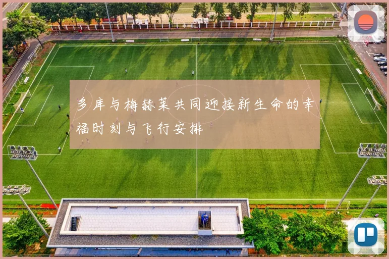 多库与梅赫莱共同迎接新生命的幸福时刻与飞行安排