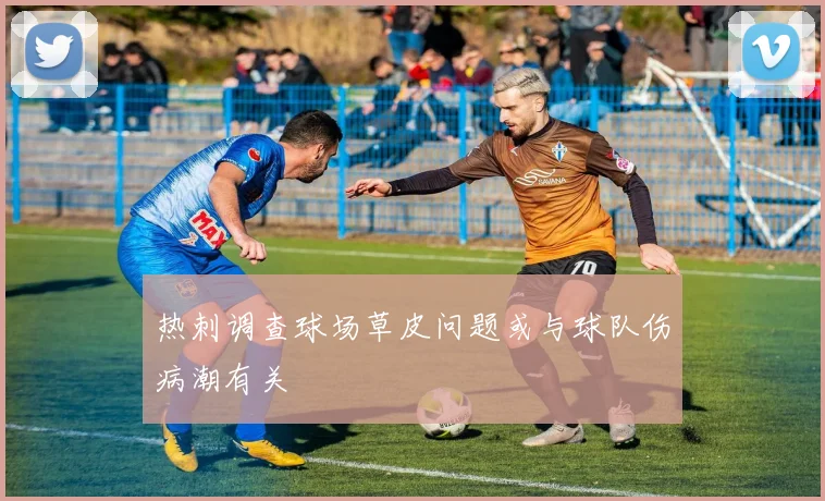 热刺调查球场草皮问题或与球队伤病潮有关