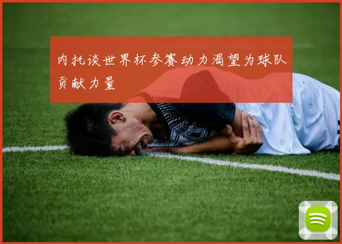 内托谈世界杯参赛动力渴望为球队贡献力量