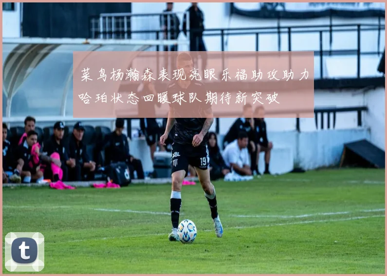 菜鸟杨瀚森表现亮眼乐福助攻助力哈珀状态回暖球队期待新突破